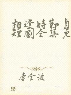 相逢时节月正圆短剧全集免费观看封面