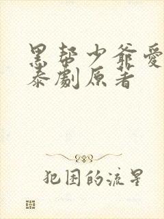 黑帮少爷爱上我泰剧原著