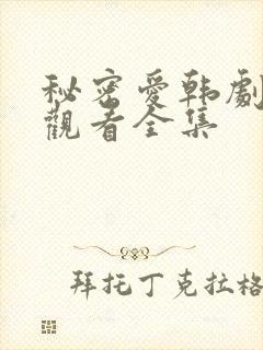 秘密爱韩剧在线观看全集封面