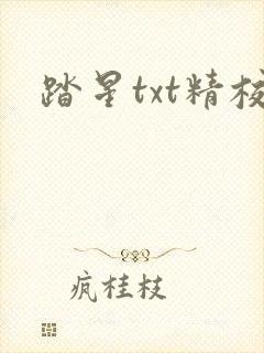 踏星txt精校