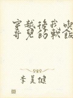 穿越后我吃到了哥儿的软饭炉山灰封面