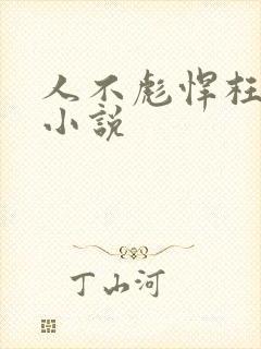 人不彪悍枉少年小说