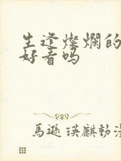 生逢灿烂的日子好看吗