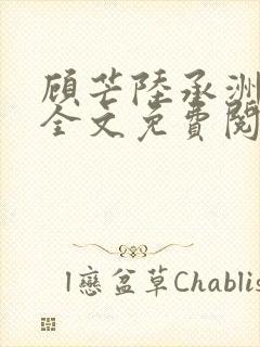 顾芒陆承洲小说全文免费阅读无弹窗