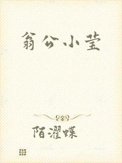 翁公小莹封面