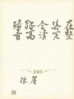 归路全集在线观看高清完整版电视剧