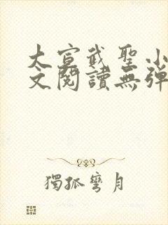 大宣武圣小说全文阅读无弹窗