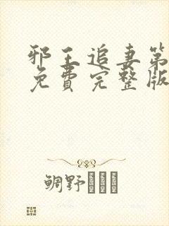 邪王追妻第一季免费完整版