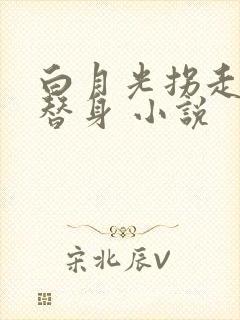 白月光拐走了小替身 小说