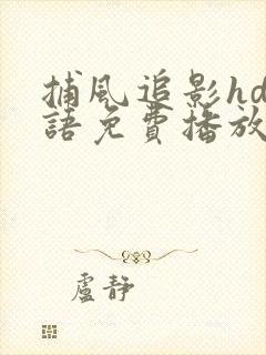 捕风追影hd国语免费播放