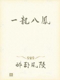 一龙八凤封面