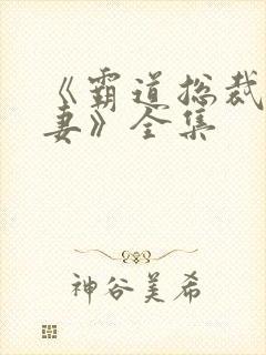 《霸道总裁独宠妻》全集