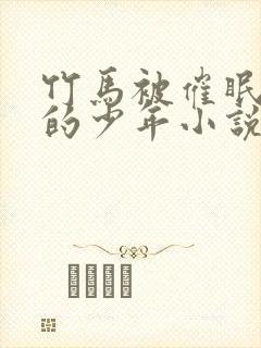 竹马被催眠洗脑的少年小说