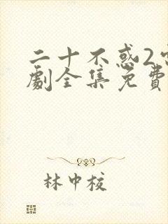 二十不惑2电视剧全集免费观看封面