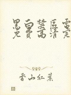 黑白禁区电视剧免费高清完整版