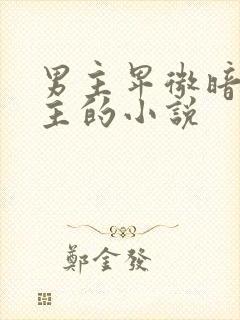 男主卑微暗恋女主的小说