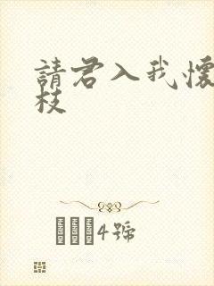 请君入我怀宋瑶枝