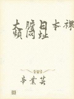 大胆日本裸体视频网址封面