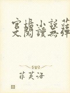 官场小说庄岩全文阅读无弹窗