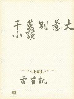 千万别惹大师兄小说