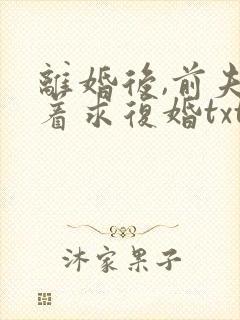离婚后,前夫哭着求复婚txt封面