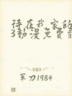 待在我家的妹妹3动漫免费观看全集完整版