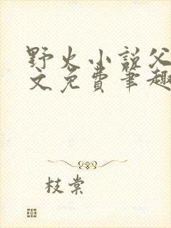 野火小说父女全文免费笔趣阁