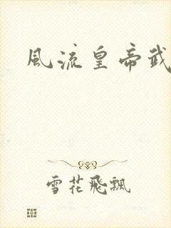 风流皇帝武则天封面