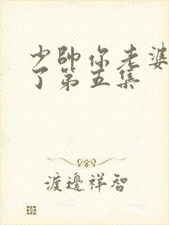 少帅你老婆又跑了第五集