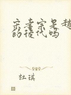 宋孝宗是赵匡胤的后代吗封面