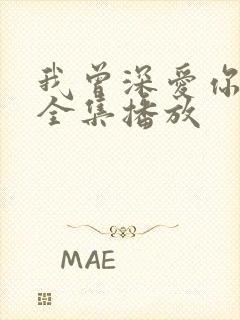 我曾深爱你短剧全集播放