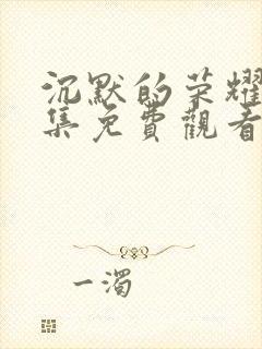 沉默的荣耀第二集免费观看