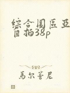 综合图区亚洲偷自拍38p