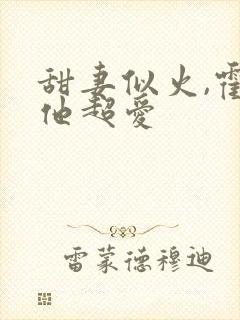 甜妻似火,霍爷他超爱封面