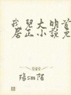 我儿大明首辅张居正小说免费阅读封面