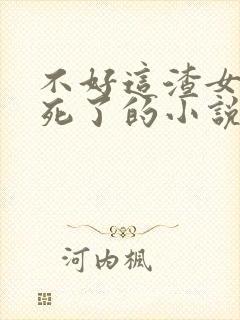 不好这渣女要虐死了的小说封面