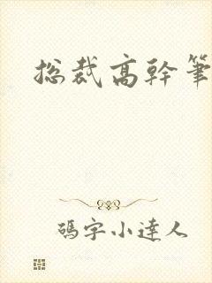 总裁高干笔趣阁