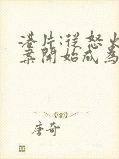 港片:从怒火重案开始成为大亨