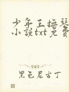 少年王抚琴的人小说txt免费下载封面