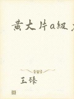 黄大片a级免色封面