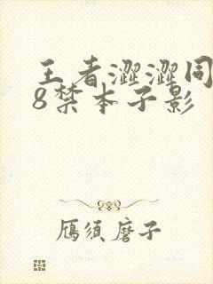 王者涩涩同人18禁本子影