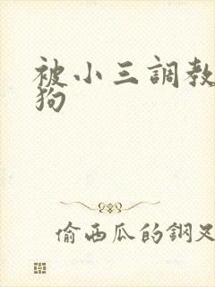 被小三调教成母狗