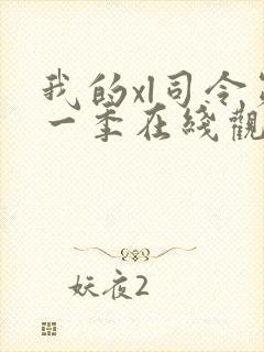 我的xl司令第一季在线观看封面