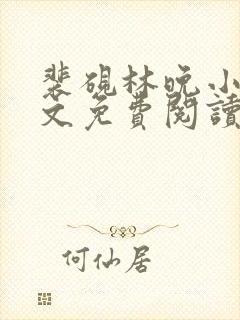 裴砚林晚小说全文免费阅读封面