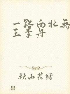 一路向北无删减王李丹封面