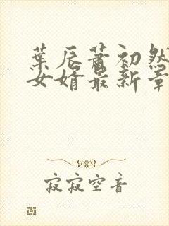 叶辰萧初然上门女婿最新章节