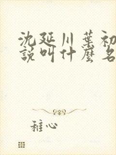 沈延川叶初裳小说叫什么名字