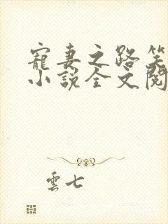 宠妻之路笑佳人小说全文阅读