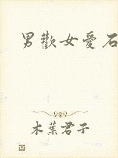 男欢女爱石久封面