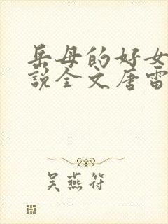 岳母的好女婿小说全文唐雷